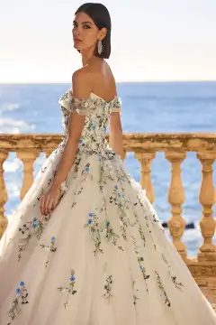 Veni Infantino Harela 63143
