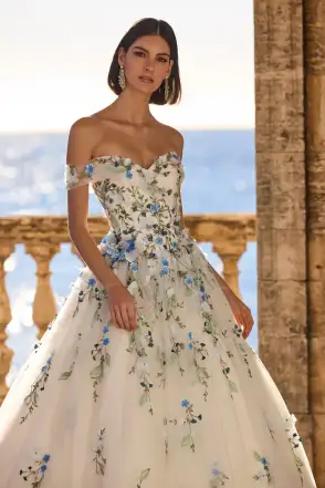 Veni Infantino Harela 63143